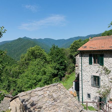 La Casa Nel Bosco-Senza Auto Guest House Ponte della Venturina Bagian luar foto