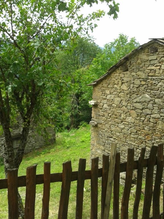 La Casa Nel Bosco-Senza Auto Guest House Ponte della Venturina Ruang foto
