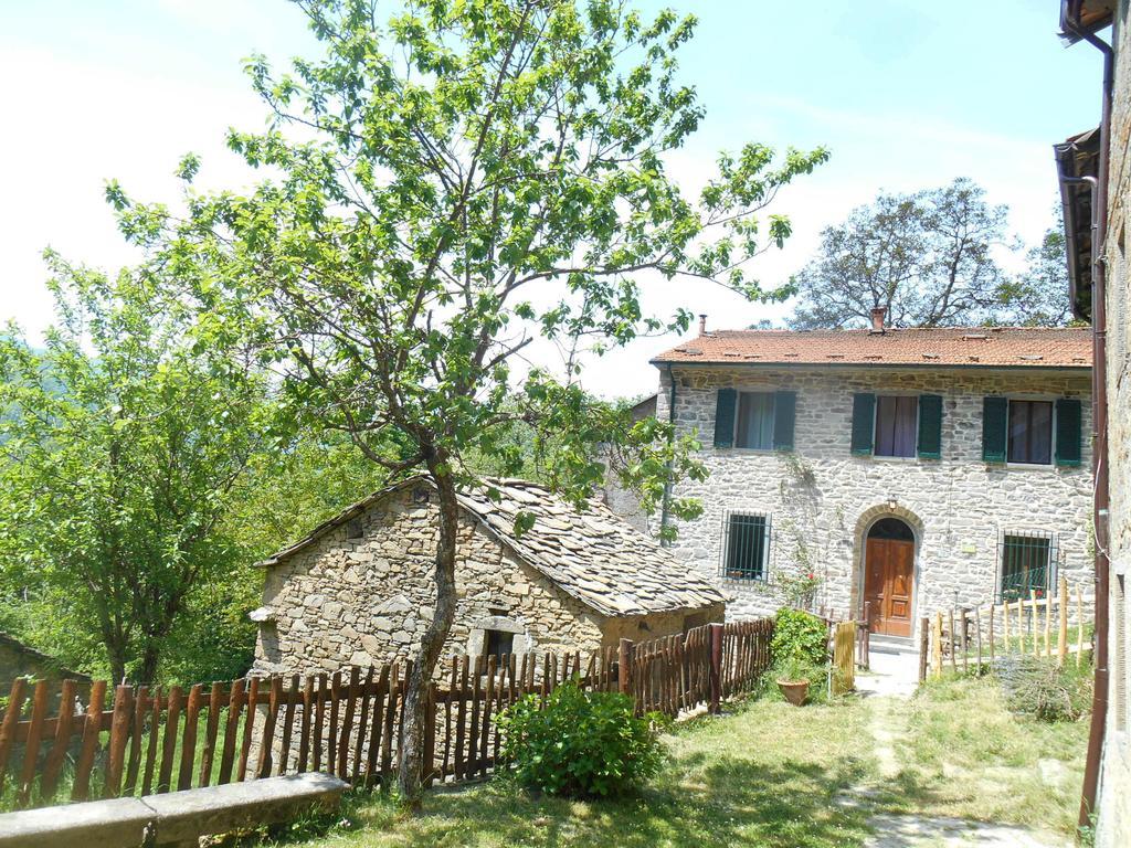 La Casa Nel Bosco-Senza Auto Guest House Ponte della Venturina Bagian luar foto