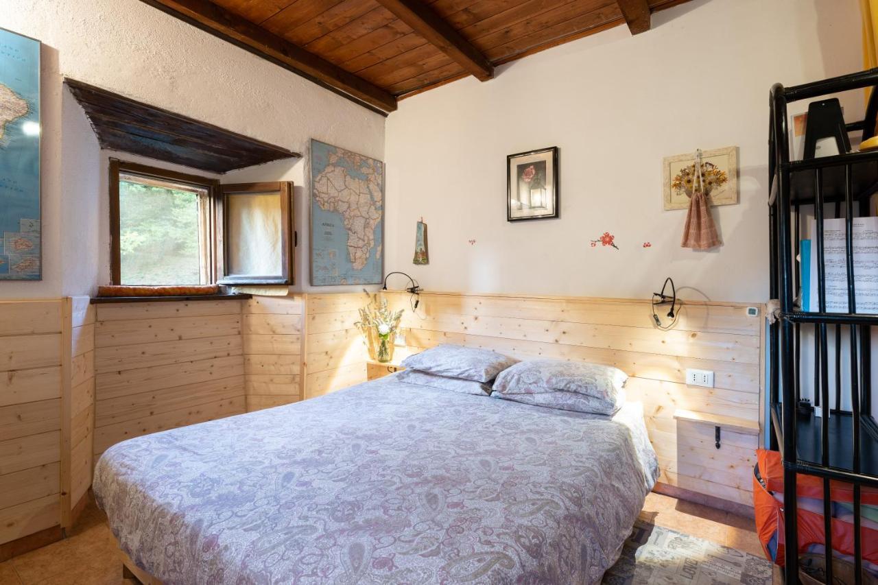 La Casa Nel Bosco-Senza Auto Guest House Ponte della Venturina Bagian luar foto