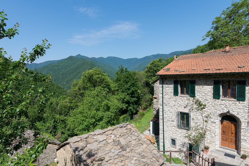 La Casa Nel Bosco-Senza Auto Guest House Ponte della Venturina Bagian luar foto