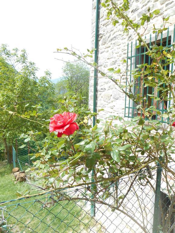 La Casa Nel Bosco-Senza Auto Guest House Ponte della Venturina Ruang foto