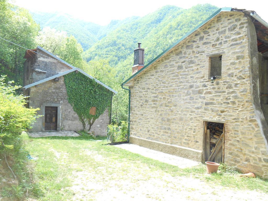 La Casa Nel Bosco-Senza Auto Guest House Ponte della Venturina Ruang foto