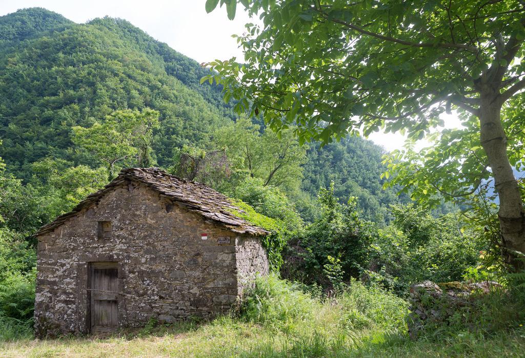 La Casa Nel Bosco-Senza Auto Guest House Ponte della Venturina Bagian luar foto
