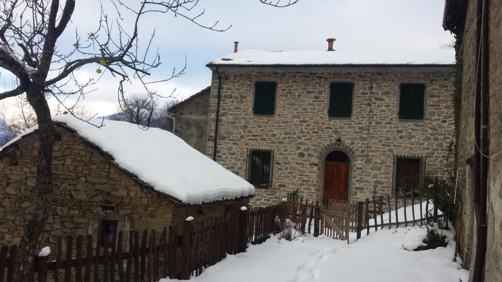 La Casa Nel Bosco-Senza Auto Guest House Ponte della Venturina Bagian luar foto