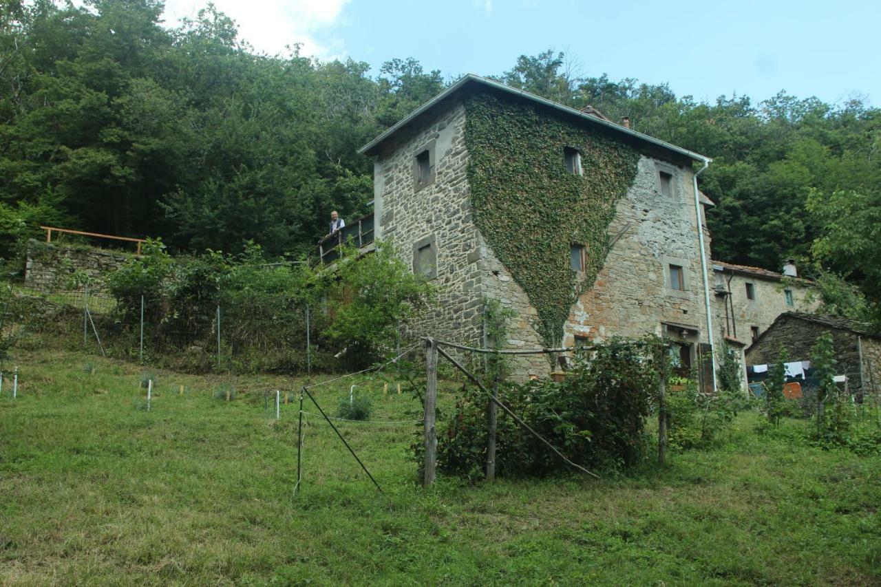 La Casa Nel Bosco-Senza Auto Guest House Ponte della Venturina Bagian luar foto
